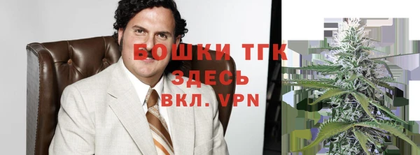 apvp Каменка