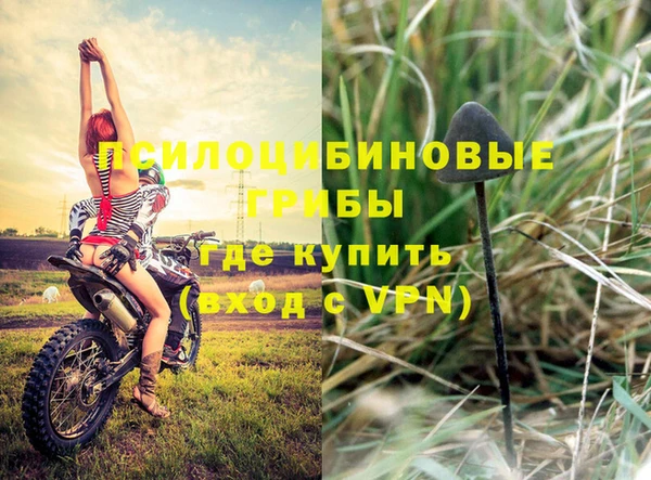 apvp Каменка