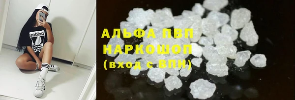 apvp Каменка