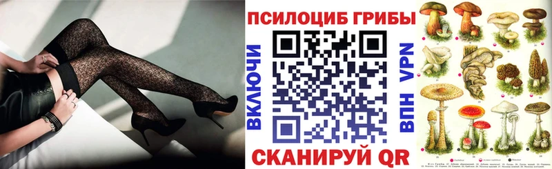 Галлюциногенные грибы Psilocybe  Купить закладки  Верхнеуральск 